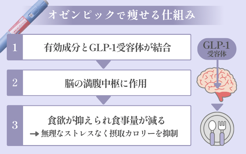 オゼンピックはなぜ痩せる？食欲抑制の作用により体重減少