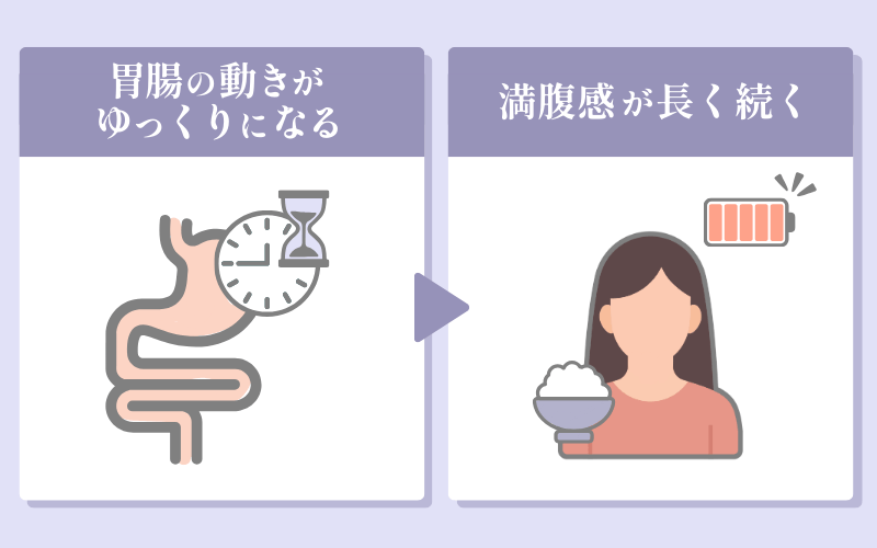 サクセンダは胃腸の働きを緩やかにして満腹感を持続する