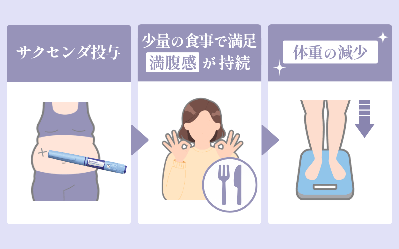 【GLP-1】サクセンダに期待できる3つの効果は?平均4.4kgの体重減少の研究データあり
