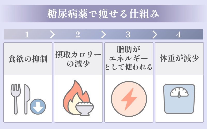 糖尿病薬で痩せる仕組み