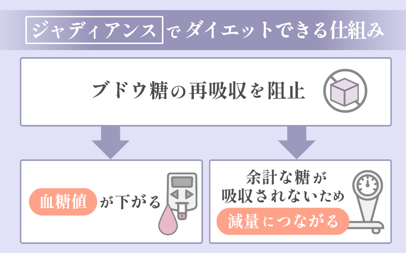 ジャディアンスのダイエット効果
