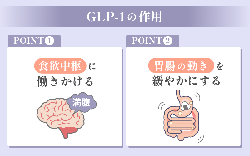 GLP-1の効果