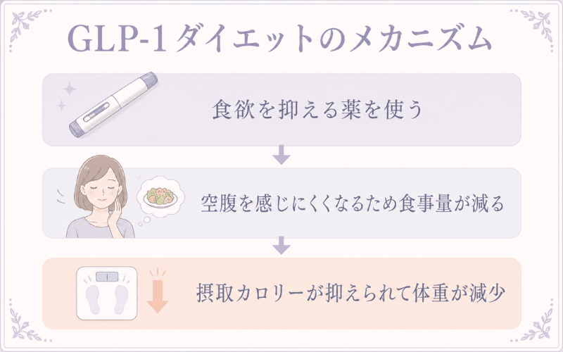 GLP-1ダイエットで減量効果が期待できる仕組み