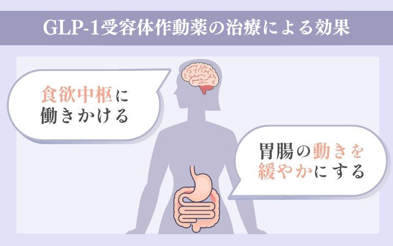 GLP-1ダイエットによる治療で体重減少が期待できる仕組みは？