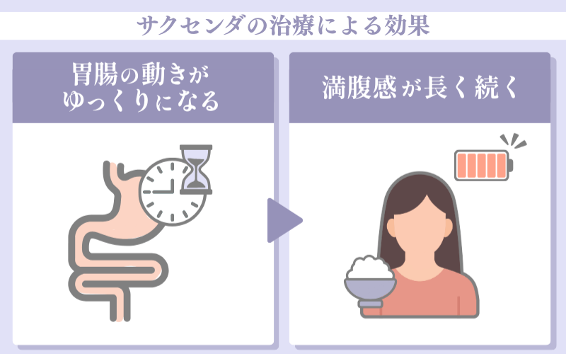 サクセンダの治療による効果2：胃腸の働きを緩やかにして満腹感を持続する