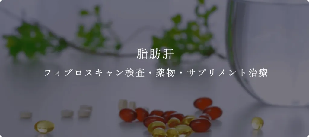 脂肪肝 フィブロスキャン検査・薬物・サプリメント治療