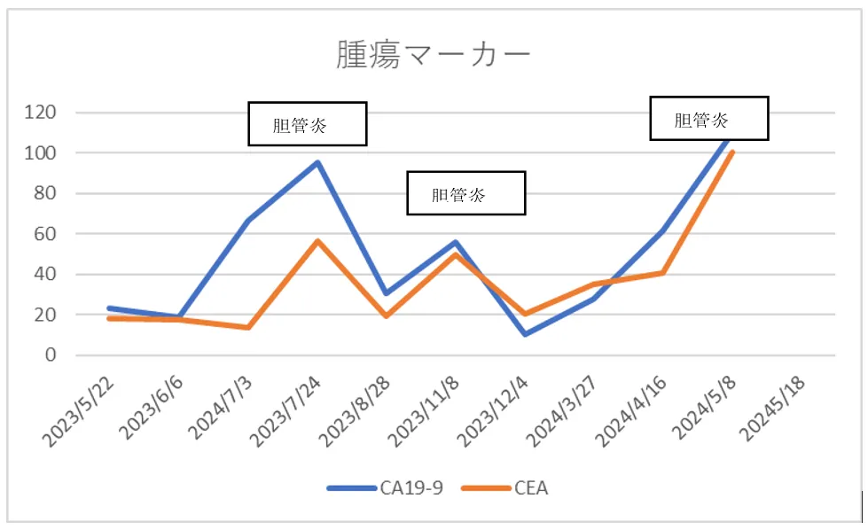 ステージIV期の胆膵系悪性腫瘍